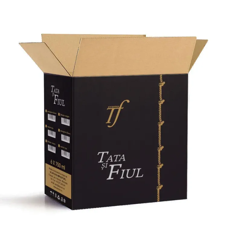 simulare tata si fiul 2