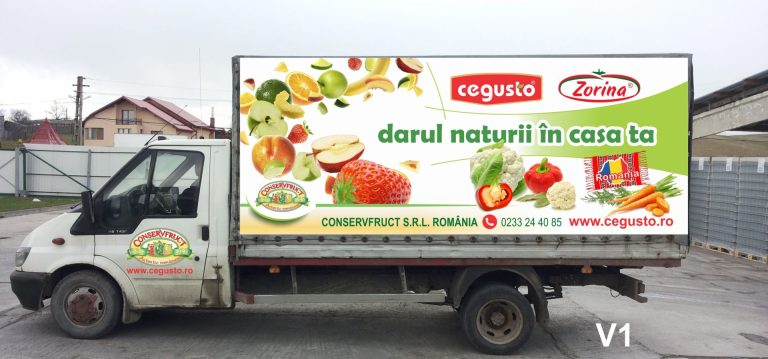 Conservfruct colaj auto V1