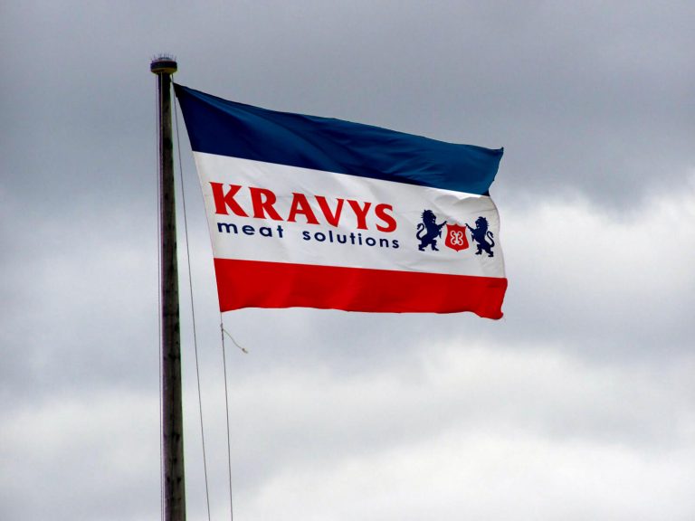 DCD Simulare1 Steag Kravys