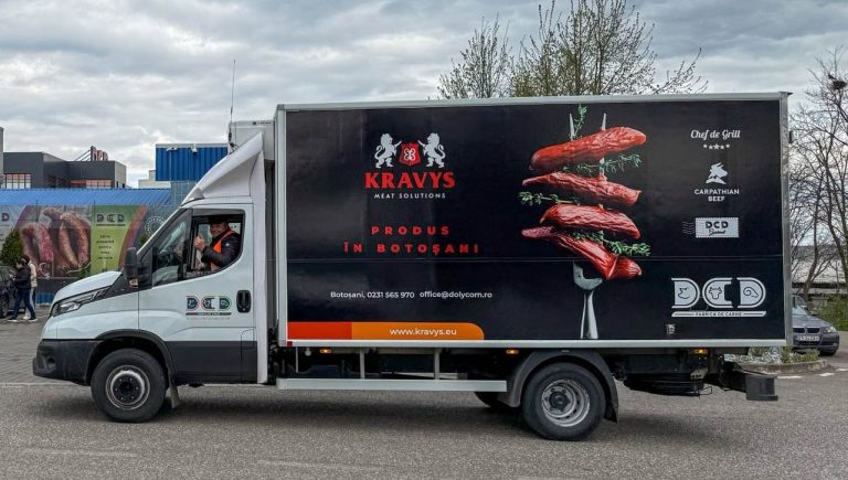 DCD design grafic masini