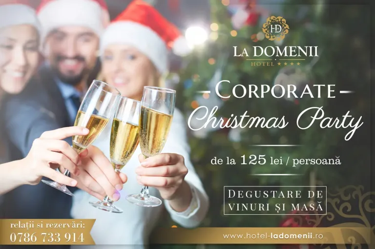 Hotel la Domenii Macheta Christmas party 2018