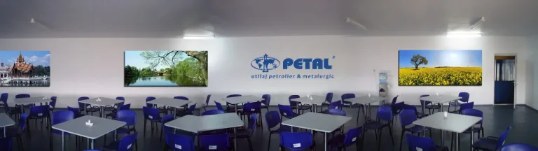 Petal simulare sala mese 1