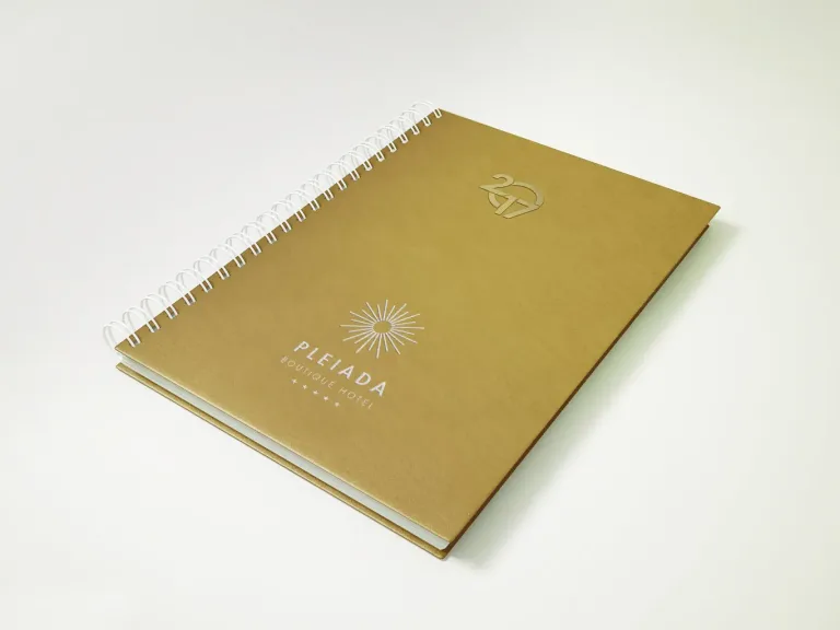 design agenda hotel Pleiada