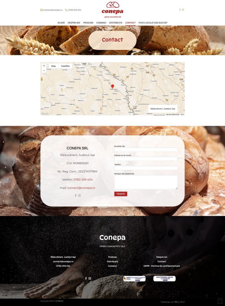 website Conepa